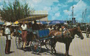 Bahama Nassau Colorful Carriages