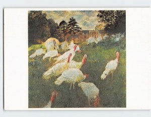 Postcard Turkey-Cocks Painting by Monet