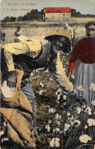 African American Man Picking Cotton Farming 1910c postcard