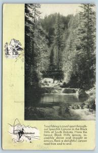 Postcard SD Spearfish Canyon Black Hills Trout Fishing Burlington Train Route M1