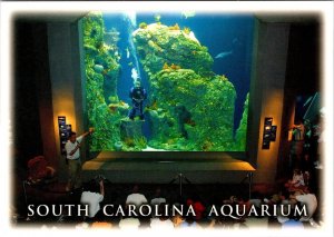 2~4X6 Postcards SC Charleston Harbor SOUTH CAROLINA AQUARIUM & OCEAN TANK~DIVERS