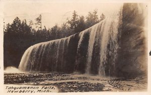 Tahquamenon Falls Real Photo - Newberry, Michigan MI  