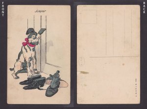 Vintage postcard, Dogs, The hearing, Unposted