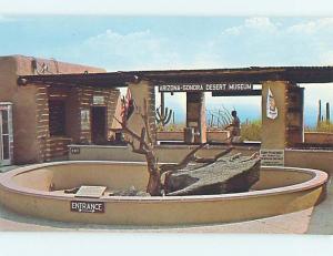 Unused Pre-1980 MUSEUM SCENE Tucson Arizona AZ hs9105