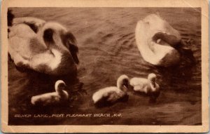 Vtg Point Pleasant Beach New Jersey NJ Silver Lake Swans 1920s Postcard