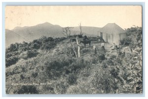 1910 Blue Mountain Peak with Hut Jamaica Posted Antique Postcard