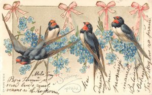 US3457 Birds Flowers, Fleurs Vogel Postcard greetings czech republic slovakia