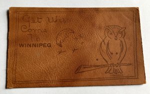 Winnipeg Canada c1906 LEATHER Postcard Get Wise Crescent Moon Owl