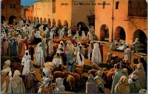 Algeria Le Marche aux Moutons Vintage Postcard C217