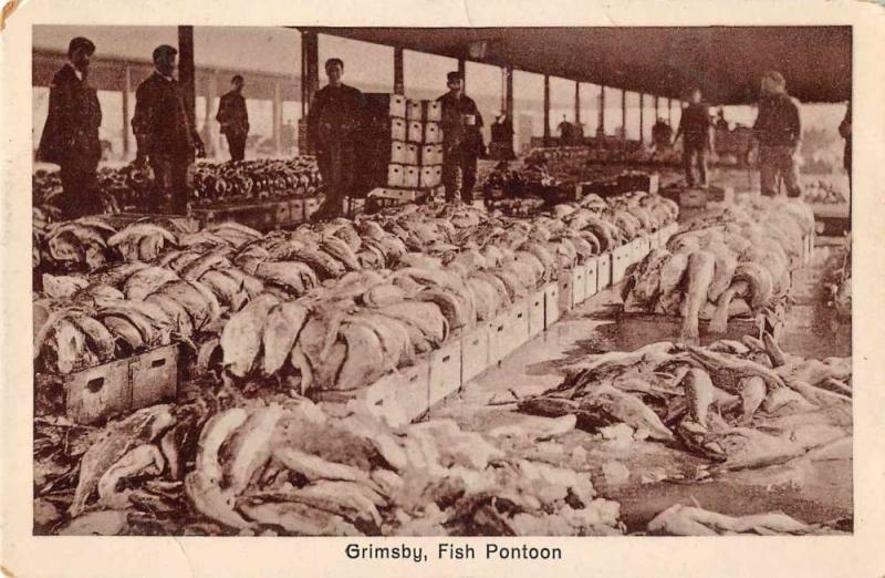 Grimsby England Fish Pontoon Fishing  Antique Postcard J78012