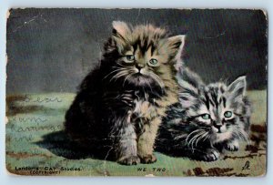 Onset Whitman MA Postcard Cat Kittens Haired Landor's Cat Studies Animals Tuck