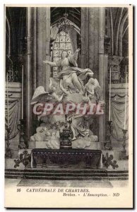 Cathedral of Chartres Old Postcard Bridan the & # 39assomption