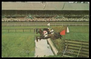 Saratoga - The steeplechase