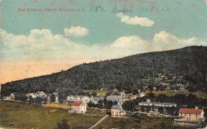 East Windham New York Catskill Mountains Birds Eye View Antique Postcard J64115