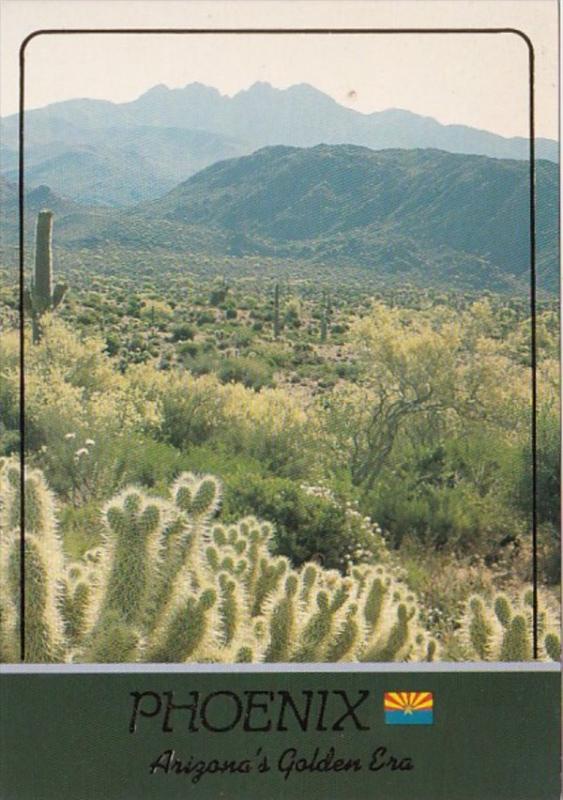 Arizona Phoenix Cactus Scene