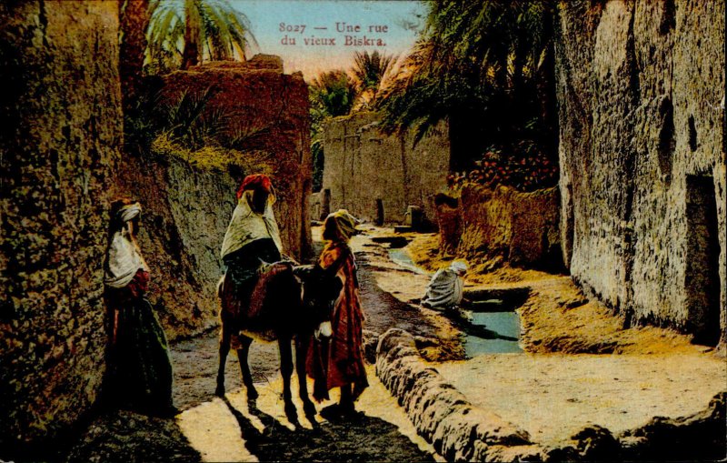 IMV01788 une rue du vieux biskra types folklore algeria africa 