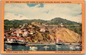 California, Picturesque Hilltop Homes of Santa Catalina Island, Vintage Postcard