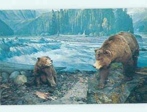 Chrome DISPLAY AT MUSEUM Milwaukee Wisconsin WI AG0196