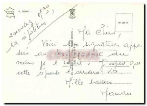 Postcard Modern Cows