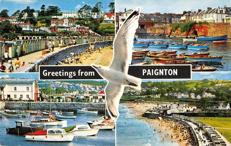 uk8255 greetings from paignton   uk