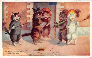 Cat Cats, Kitten 1909 