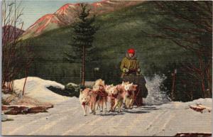 A Team of Ed Clark's Eskimo Sled Dogs in Action, Linen Vintage Postcard Y03