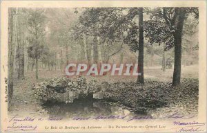 Old Postcard The Bois de Boulogne in the Fall palmarium the great Lake