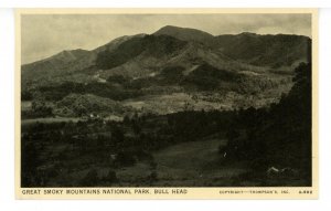 TN - Great Smoky Mountains National Park. Bull Head