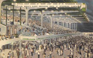 Night Crowd Greyhound Track Grandstand St Petersburg Florida linen postcard