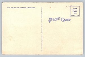 Steamer  Martha's Vineyard  Nantucket Steamboat Lines  Massachusetts   Postcard