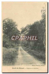 Old Postcard Foret Senart Road Maillote