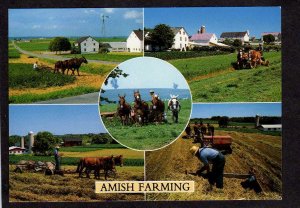 Greetings Amish County Farming Farm Haying Horses Horse Drawn Equipment Postcard