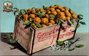 Florida Greetings Florida Box Of Oranges 1911