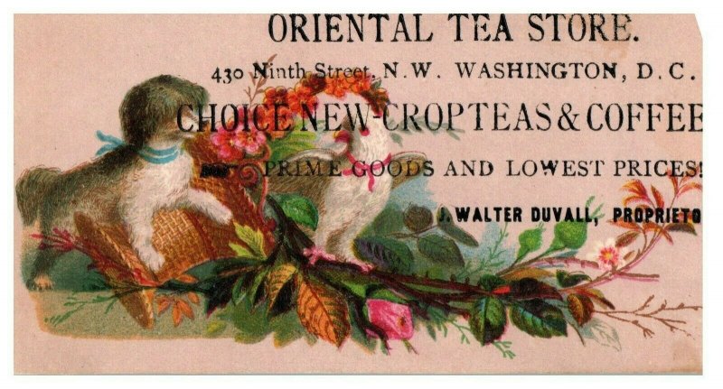 Oriental Tea Store Crop-Teas & Coffees Washington, D.C. Dog and Bird-Flowers P49 