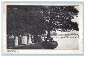 c1910's View Of Bedell Park Grand Island New York NY Unposted Antique Postcard