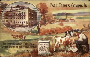 Calves Cattle Meal Feed BLATCHFORD'S & Factory Waukegan IL c1910 Postcard