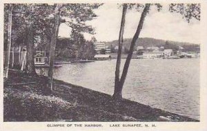New Hampshire Lake Sunapee Glimpse of The Harbor Albertype