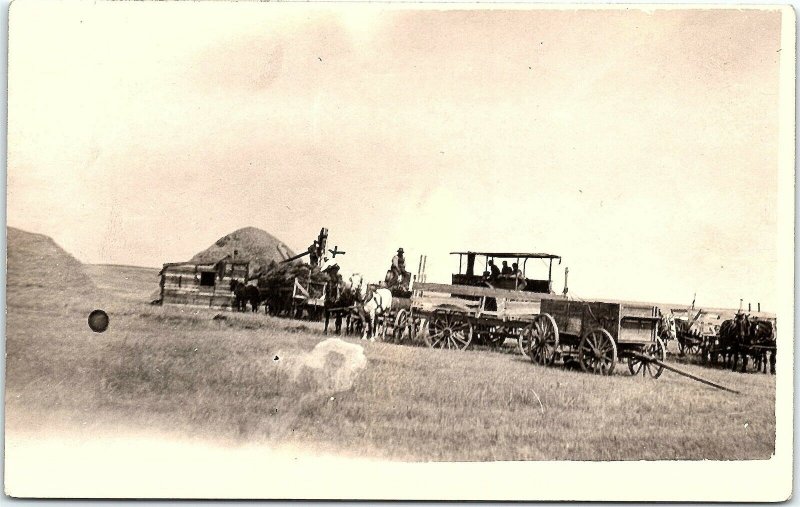 RPPC Threshing In North Dakota Steam Traction Engine Horses Real Photo Postcard