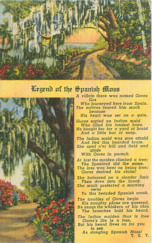 Legend of the Spanish Moss Linen Postcard Unused Curteich