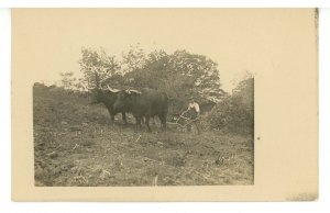 Plowing Field with Yoke of Oxen    RPPC