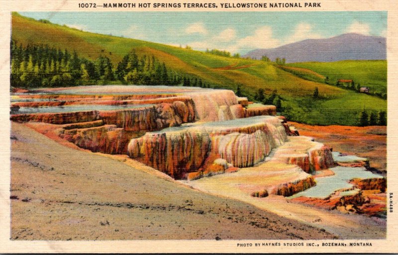 Yellowstone National Park Mammoth Hot Springs Terraces Curteich