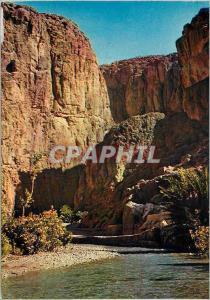 CPM Scenes et types du Maroc Gorges du Todra a Tinerhir 