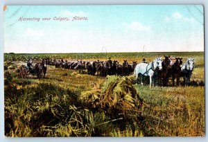 Calgary Alberta Canada Postcard Harvesting Farming Horses Scene c1910's Antique