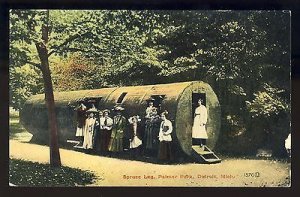 Early Detroit, Michigan/MI Postcard, Spruce Log In Palmer Park