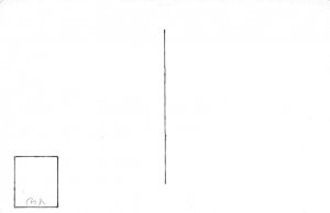 Squirrel And Bird Squirrel Chipmunk Unused 