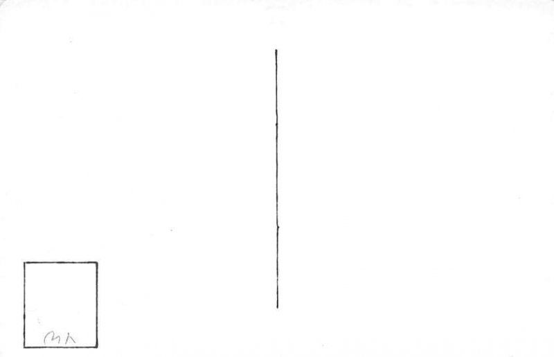 Squirrel And Bird Squirrel Chipmunk Unused 