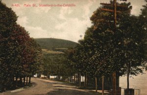 Vintage Postcard 1910's Main Street Stamford-In-The-Catskills Mountains New York