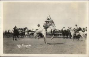 Cowboy Rodeo Cody WY Stampede c1920s-30s Real Photo Postcard #2