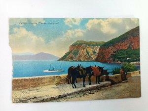 Vintage Postcard CAPRI Marina Grande con Asini Italy Donkeys along Water Scene