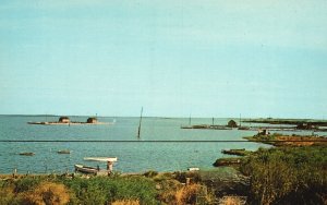 Vintage Postcard Greetings From Smith Island Maryland Looking North Harbor Ewell